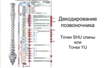 позвоночник точки ТКМ